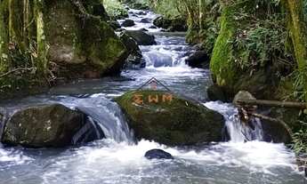 Imagem 6: 2 HECTARES PRÓXIMO AO SANTÚARIO DE CARAVAGGIO