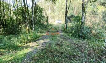 Imagem: 2 HECTARES PRÓXIMO AO SANTÚARIO DE CARAVAGGIO