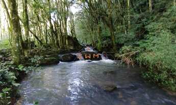 Imagem 2: 2 HECTARES PRÓXIMO AO SANTÚARIO DE CARAVAGGIO