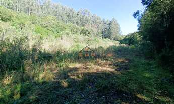 Imagem 4: 2 HECTARES PRÓXIMO AO SANTÚARIO DE CARAVAGGIO