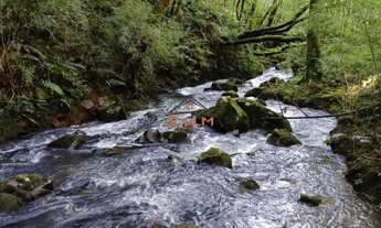 Imagem 5: 2 HECTARES PRÓXIMO AO SANTÚARIO DE CARAVAGGIO