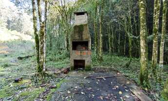 Imagem 3: 2 HECTARES PRÓXIMO AO SANTÚARIO DE CARAVAGGIO