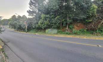 Imagem 3: Terreno com excelente localização, imediações da av. Maurício Cardoso