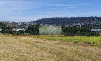 Imagem 2: Grande Área na RS-239 com BR-116, Novo Hamburgo