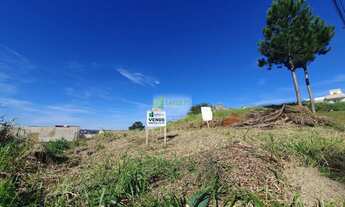 Imagem 5: Terreno Plano com frente de 10, mts. Canudos/Hamburgo Velho, NH