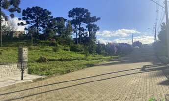 Imagem 2: Terreno com 3 Dormitorio(s) localizado(a) no bairro Recanto do Sossego em Nova Petrópolis
