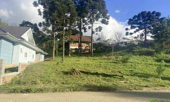 Imagem 3: Terreno com 3 Dormitorio(s) localizado(a) no bairro Recanto do Sossego em Nova Petrópolis