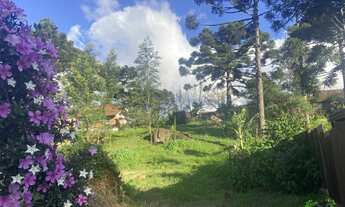 Imagem 5: Terreno com 3 Dormitorio(s) localizado(a) no bairro Recanto do Sossego em Nova Petrópolis