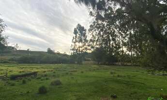 Imagem 5: Área de terra na ERS235, Linha Araripe, Nova Petrópolis- RS