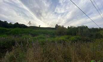 Imagem 2: Área de terra na ERS235, Linha Araripe, Nova Petrópolis- RS