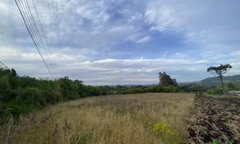 Imagem 3: Área de terra na ERS235, Linha Araripe, Nova Petrópolis- RS