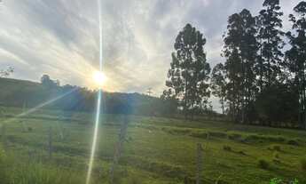 Imagem 6: Área de terra na ERS235, Linha Araripe, Nova Petrópolis- RS