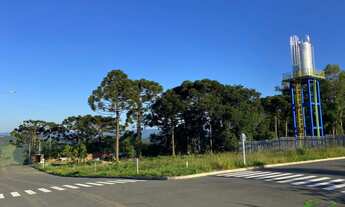Imagem 3: Terreno no Bairro Linha Olinda em Nova Petrópolis-RS