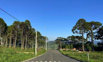 Imagem 6: Terreno no Bairro Linha Olinda em Nova Petrópolis-RS
