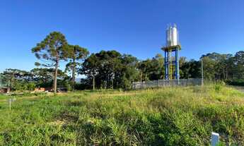 Imagem 4: Terreno no Bairro Linha Olinda em Nova Petrópolis-RS
