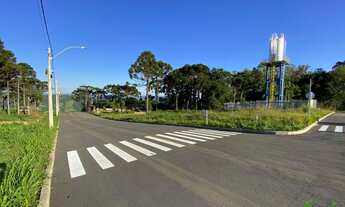 Imagem: Terreno no Bairro Linha Olinda em Nova Petrópolis-RS