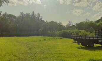 Imagem: ÁREA DE TERRA À VENDA