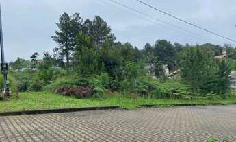 Imagem 5: Terreno Linha Imperial, Nova Petrópolis- RS