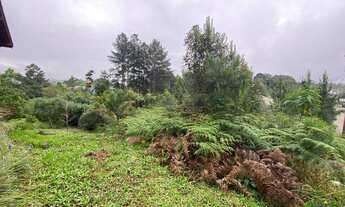 Imagem 3: Terreno Linha Imperial, Nova Petrópolis- RS