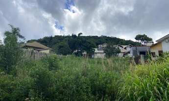Imagem 3: Terreno bairro Pousada da Neve, Nova Petrópolis- RS