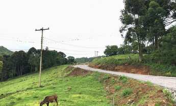 Imagem: Sítio com 4 Dormitorio(s) localizado(a)