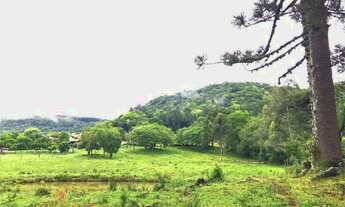 Imagem 4: Sítio com 4 Dormitorio(s) localizado(a) no bairro Nove Colônias em Nova Petrópolis / RIO