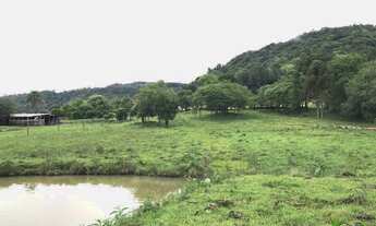 Imagem 5: Sítio com 4 Dormitorio(s) localizado(a) no bairro Nove Colônias em Nova Petrópolis / RIO