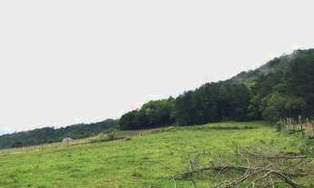 Imagem 7: Sítio com 4 Dormitorio(s) localizado(a) no bairro Nove Colônias em Nova Petrópolis / RIO