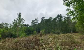 Imagem 2: Sítio com 3 Dormitorio(s) localizado(a) no bairro Linha Temerária em Nova Petrópolis / RI