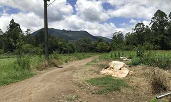 Imagem 2: Sítio com 3 Dormitorio(s) localizado(a) no bairro Linha Temerária em Nova Petrópolis / RI