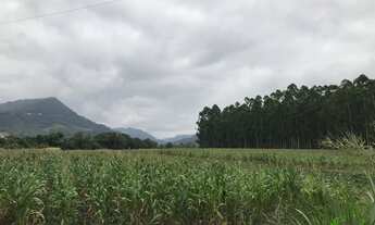 Imagem 3: Sítio com 3 Dormitorio(s) localizado(a) no bairro Linha Temerária em Nova Petrópolis / RI