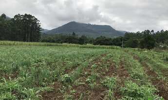Imagem 4: Sítio com 3 Dormitorio(s) localizado(a) no bairro Linha Temerária em Nova Petrópolis / RI