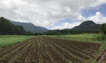 Imagem 5: Sítio com 3 Dormitorio(s) localizado(a) no bairro Linha Temerária em Nova Petrópolis / RI