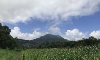 Imagem 6: Sítio com 3 Dormitorio(s) localizado(a) no bairro Linha Temerária em Nova Petrópolis / RI