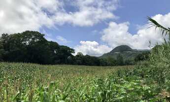 Imagem 7: Sítio com 3 Dormitorio(s) localizado(a) no bairro Linha Temerária em Nova Petrópolis / RI