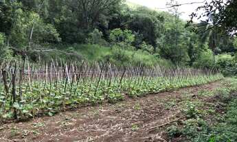 Imagem 4: Sítio com 3 Dormitorio(s) localizado(a) no bairro em Nova Petrópolis / RIO GRANDE DO SUL