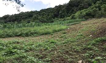 Imagem 5: Sítio com 3 Dormitorio(s) localizado(a) no bairro em Nova Petrópolis / RIO GRANDE DO SUL