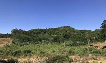 Imagem 2: Sítio com 2 Dormitorio(s) localizado(a) no bairro Linha Imperial em Nova Petrópolis / RIO