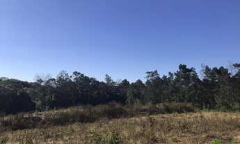 Imagem 5: Sítio com 2 Dormitorio(s) localizado(a) no bairro Linha Imperial em Nova Petrópolis / RIO