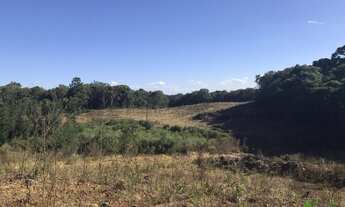 Imagem 6: Sítio com 2 Dormitorio(s) localizado(a) no bairro Linha Imperial em Nova Petrópolis / RIO