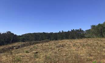 Imagem 7: Sítio com 2 Dormitorio(s) localizado(a) no bairro Linha Imperial em Nova Petrópolis / RIO