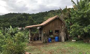 Imagem 7: Sítio com 3 Dormitorio(s) localizado(a) no bairro BR116 em Nova Petrópolis / RIO GRANDE D