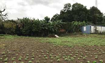 Imagem 2: Terreno com 4 Dormitorio(s) localizado(a) no bairro Recanto do Sossego em Nova Petrópolis
