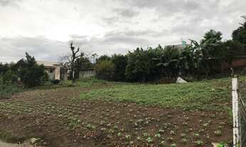 Imagem 3: Terreno com 4 Dormitorio(s) localizado(a) no bairro Recanto do Sossego em Nova Petrópolis