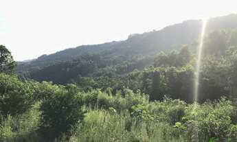 Imagem 5: Sítio com 1 Dormitorio(s) localizado(a) no bairro Nove Colônias em Nova Petrópolis / RIO