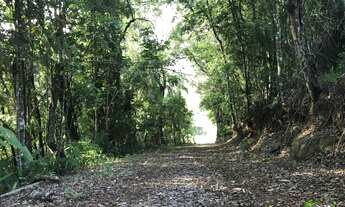 Imagem 6: Sítio com 1 Dormitorio(s) localizado(a) no bairro Nove Colônias em Nova Petrópolis / RIO