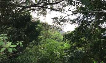 Imagem 2: Terreno com 1 Dormitorio(s) localizado(a) no bairro Juriti em Nova Petrópolis / RIO GRAND