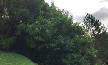 Imagem 3: Terreno com 1 Dormitorio(s) localizado(a) no bairro Juriti em Nova Petrópolis / RIO GRAND