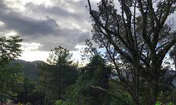 Imagem 4: Terreno com 1 Dormitorio(s) localizado(a) no bairro Juriti em Nova Petrópolis / RIO GRAND