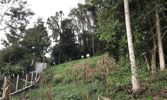 Imagem 4: Terreno com 1 Dormitorio(s) localizado(a) no bairro Centro em Nova Petrópolis / RIO GRAND